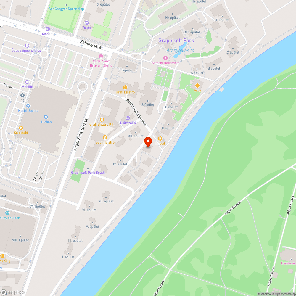 Levágott ágak közterületen hagyva bejelentés helye