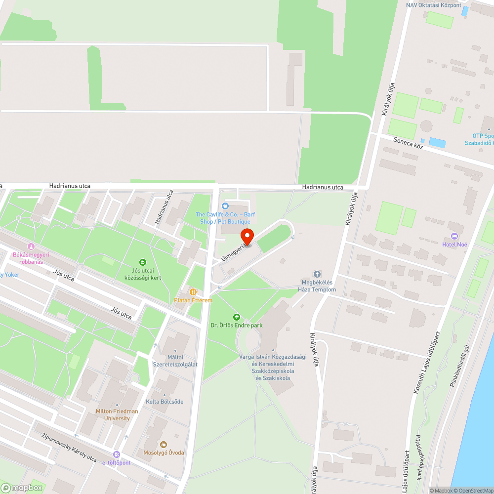 Ráesett az egyik vezetékre egy faág bejelentés helye