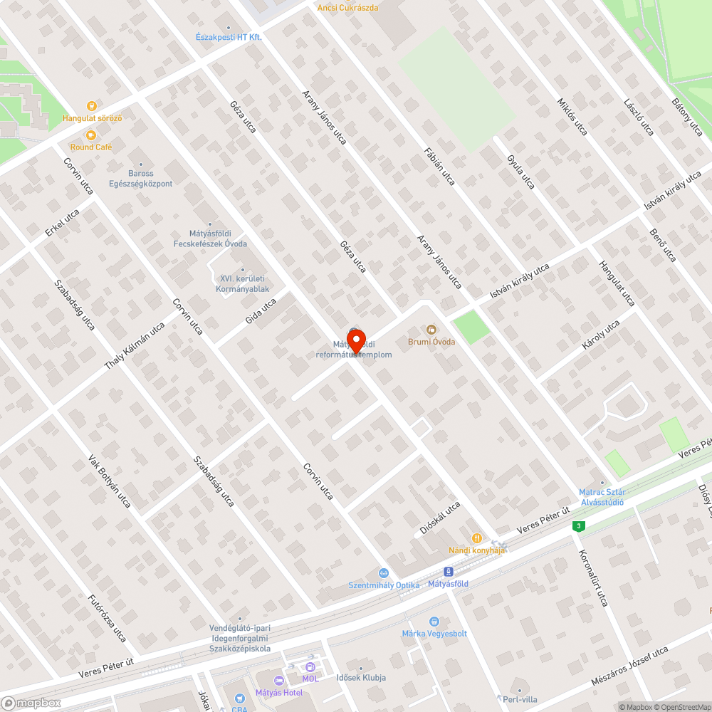 Invazív faj az utcában bejelentés helye