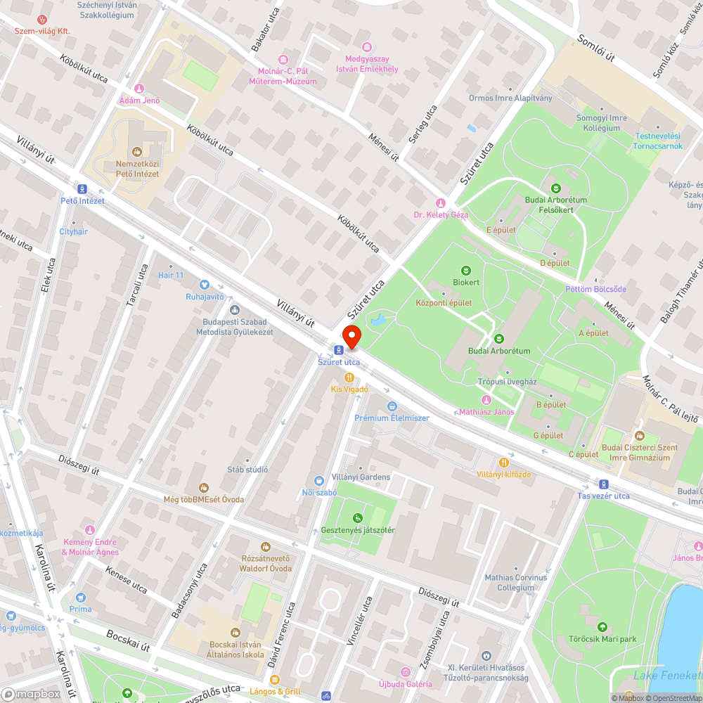 Szennyezett úttest és roller tároló bejelentés helye