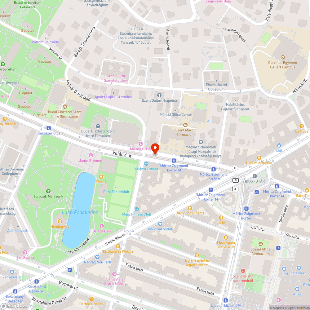 Tűzcsap bejelentés helye