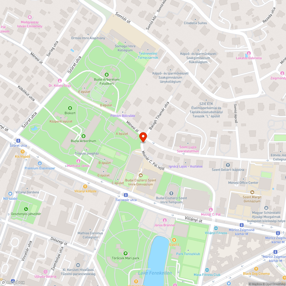 Üres fahely bejelentés helye