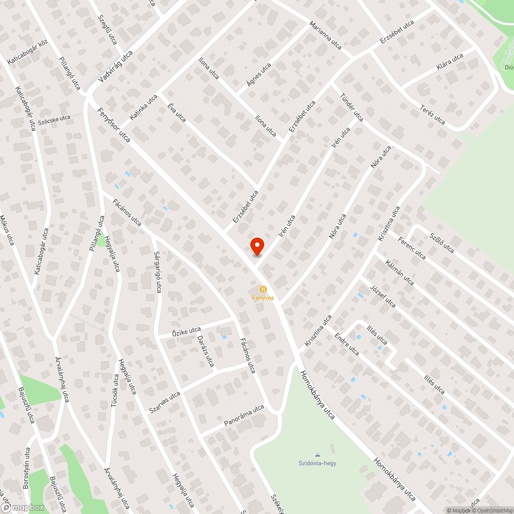 Beláthatóságot zavaró növényzet - Diósdliget Fenyősor bejelentés helye