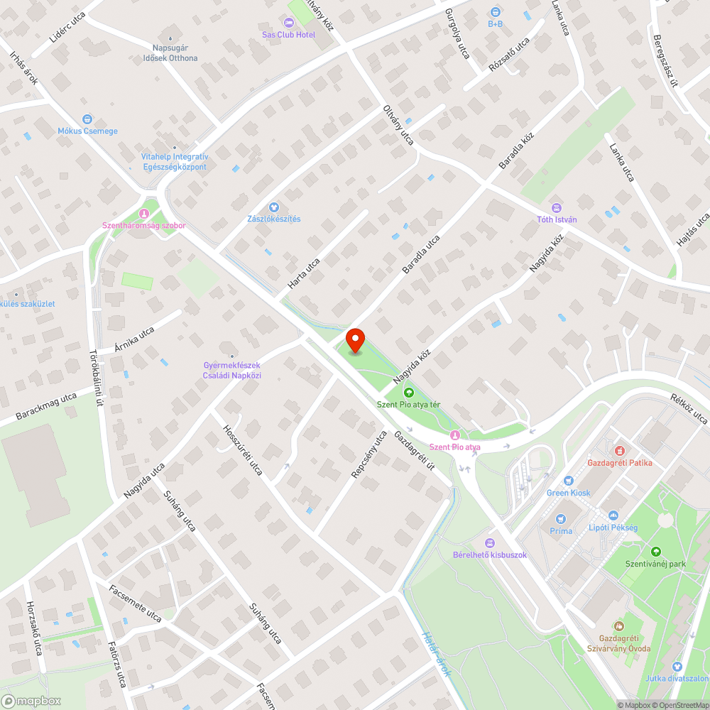 Elhullott madártetem a Szent Pió atya téren bejelentés helye