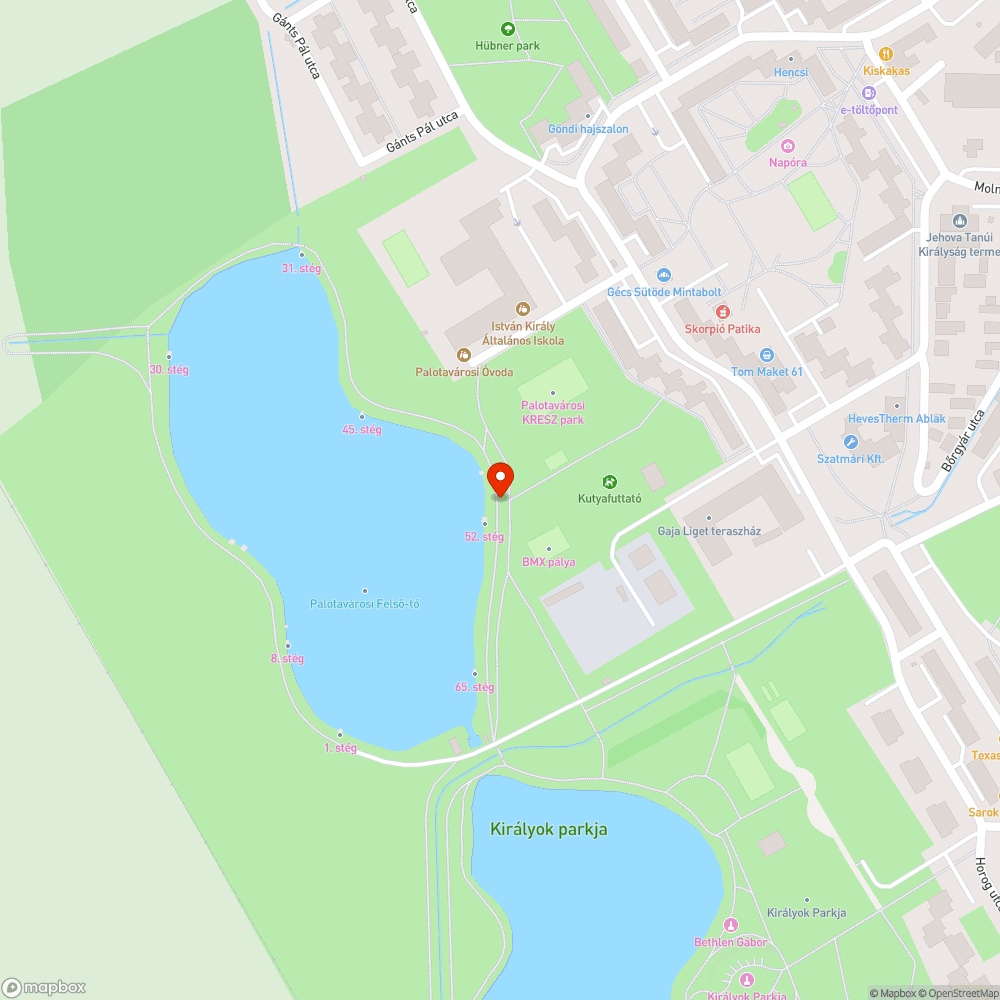 Darázsfészkek bejelentés helye