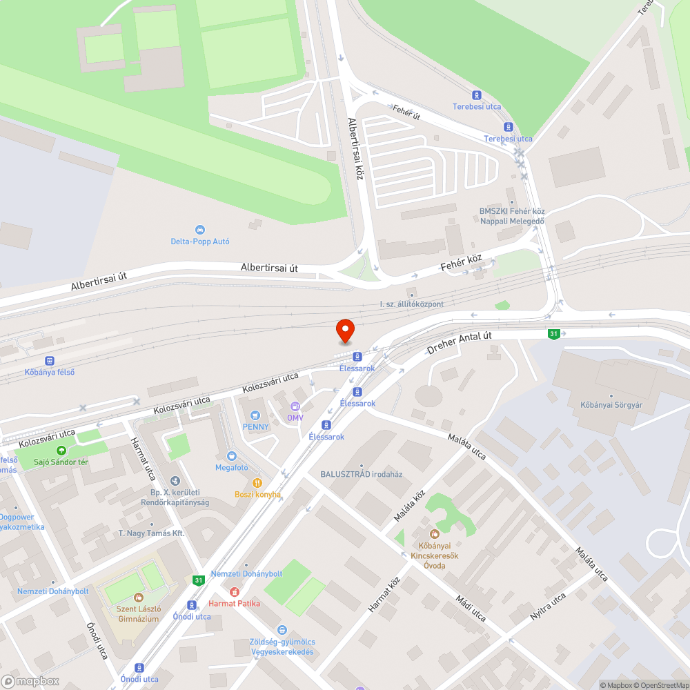 Százéves fa talpfamaradványok bejelentés helye