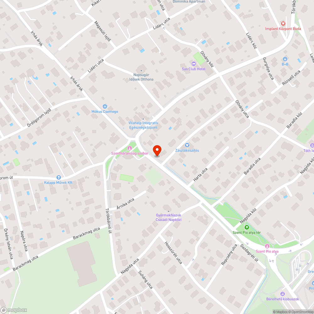 Több éve nem pótolt kiszáradt fák bejelentés helye