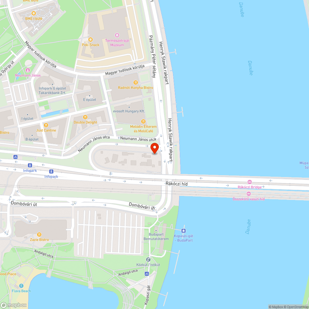 Kosz, mocsok, gyomfák, graffity a Rákóczi híd főben. bejelentés helye