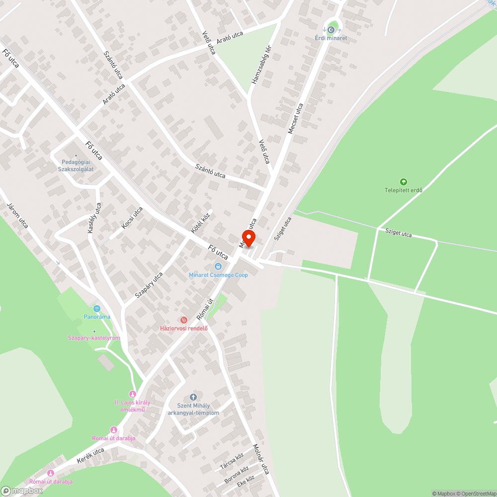 Lejárt műszakijú autó bejelentés helye