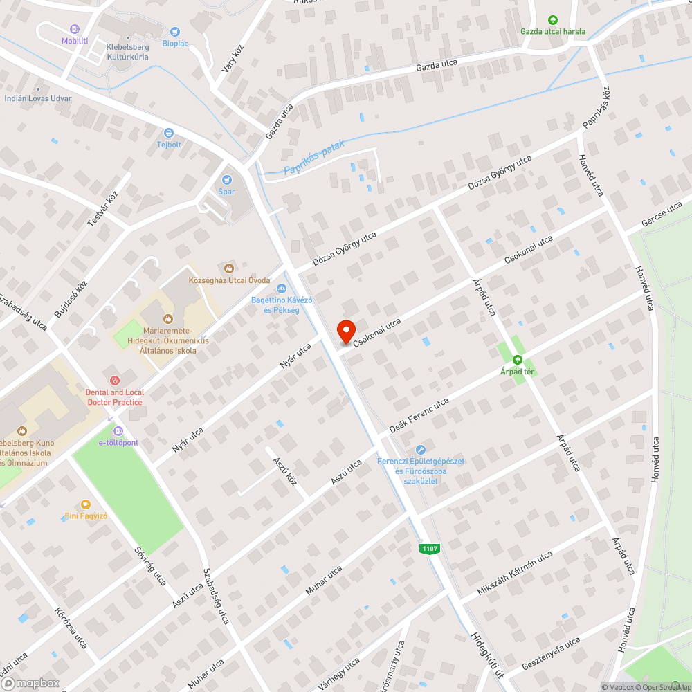 Elgázolt macska bejelentés helye