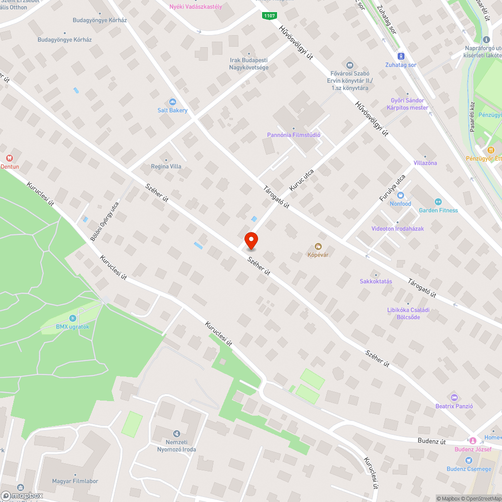 Nagy mennyiségű zöldhulladék a járdán bejelentés helye