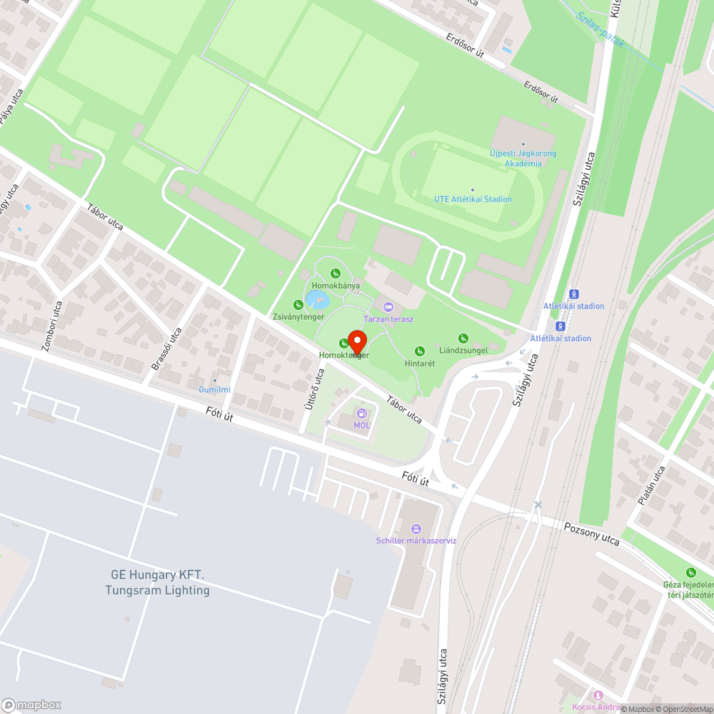 kidőlt fa bejelentés helye