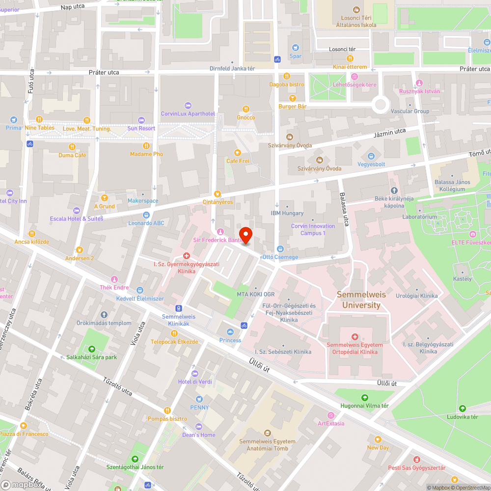 Órási gyom belóg a járdára bejelentés helye