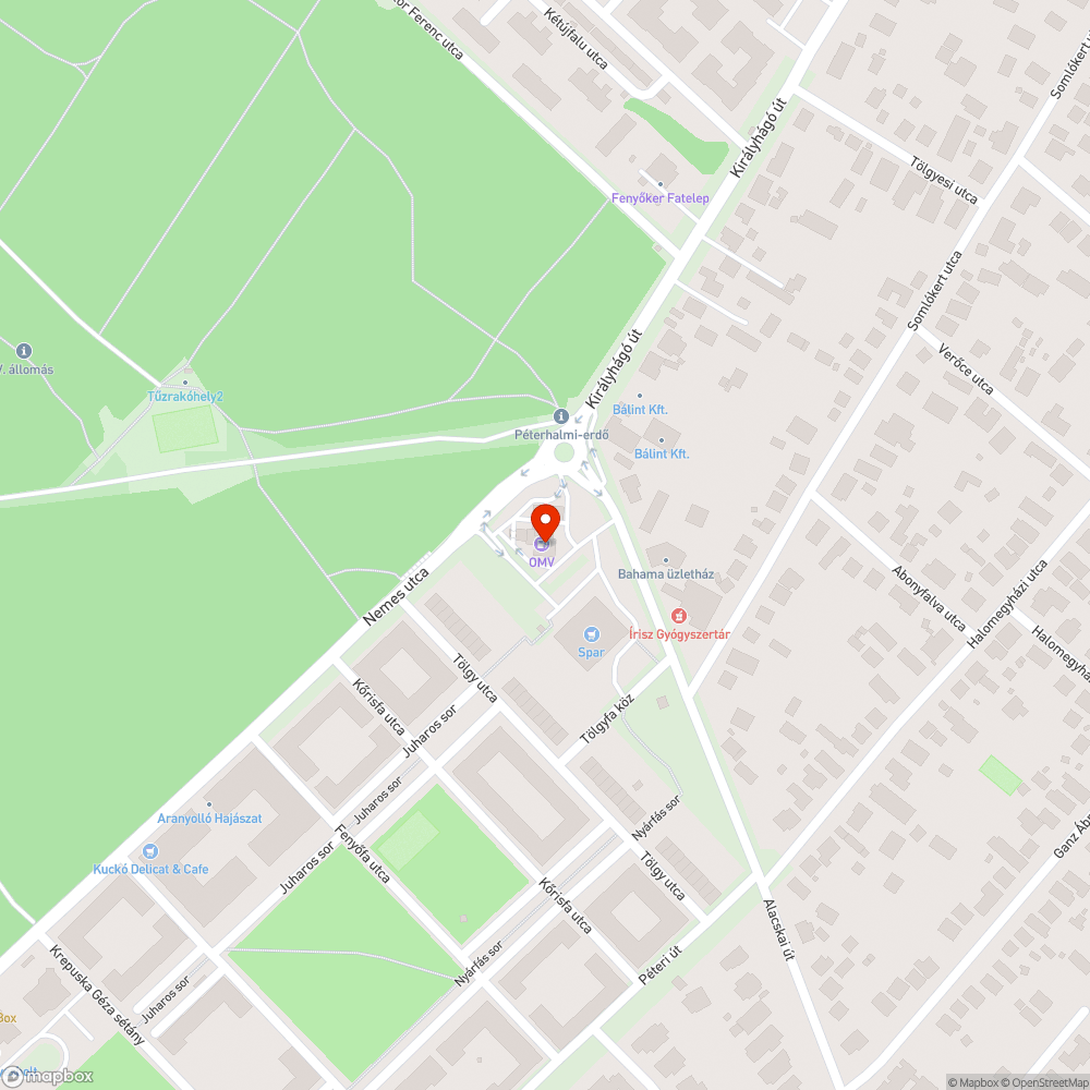 Elhagyott jármű, környezetszennyező bejelentés helye