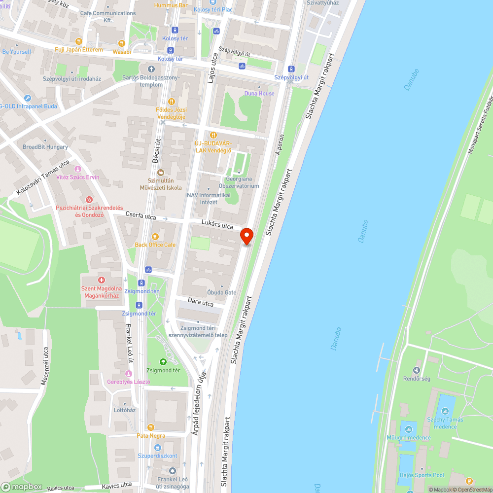 Elgázolt macska bejelentés helye