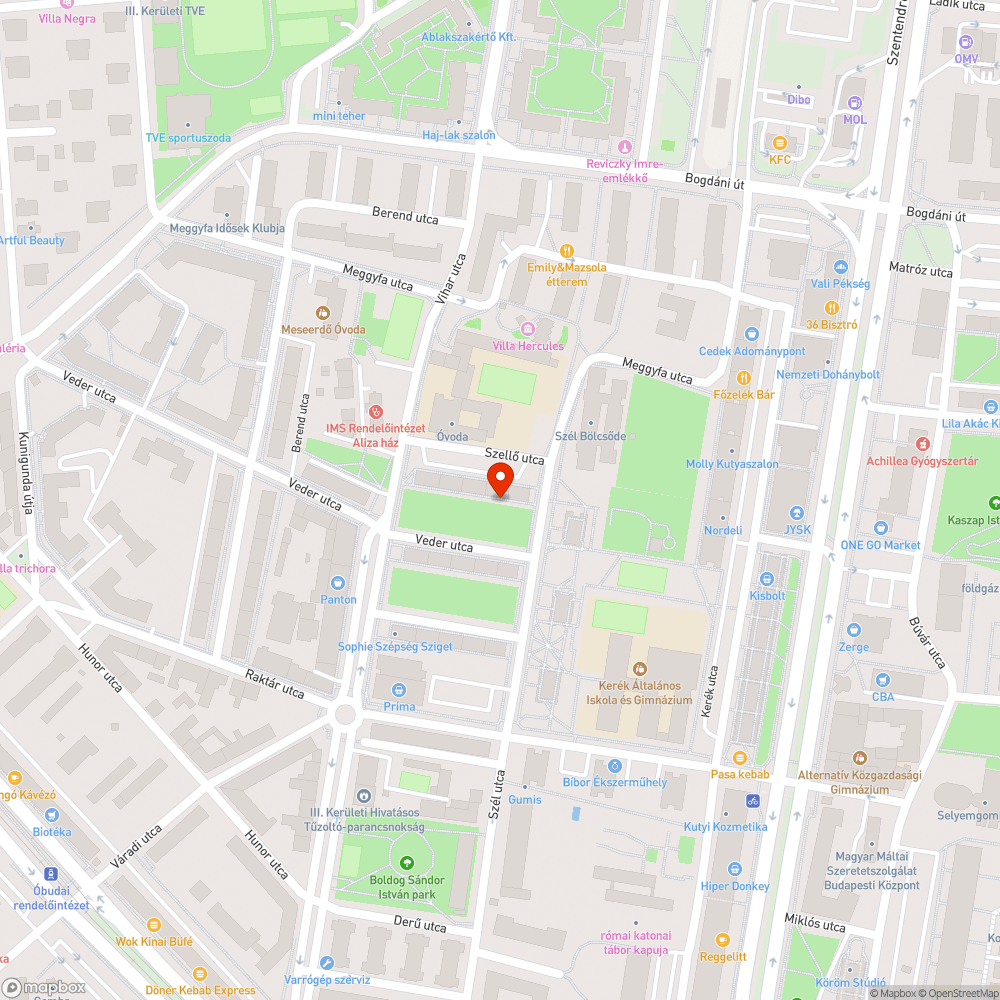 Lelógó faág parkoló autók közelében bejelentés helye