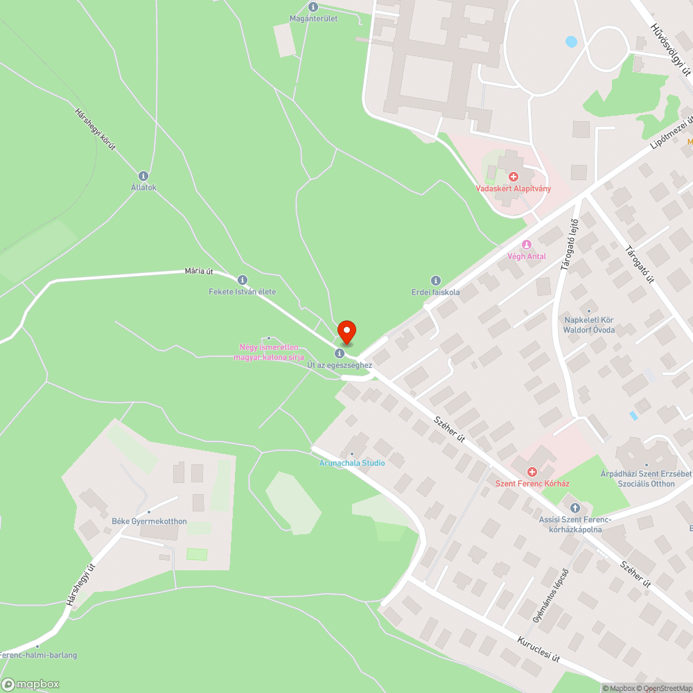 Rendszám nélküli taxi az erdő szélén bejelentés helye