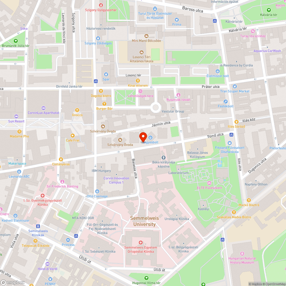 Szétdobált szemét a közterületen bejelentés helye