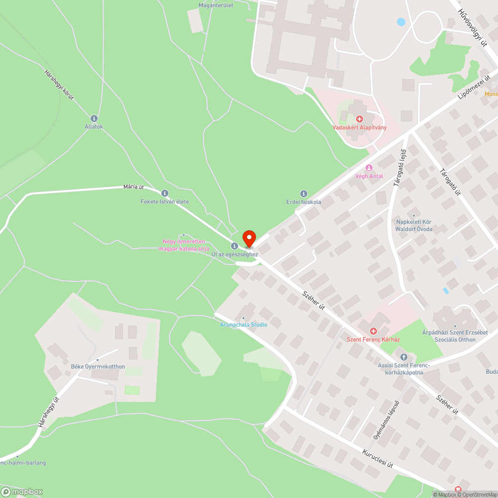 Elhagyott autó bejelentés helye