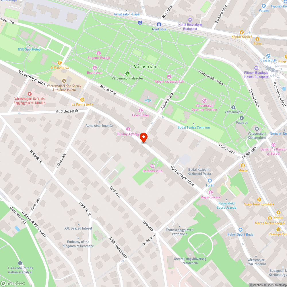 Nagyra nőtt bokrok, gaz az utcán bejelentés helye