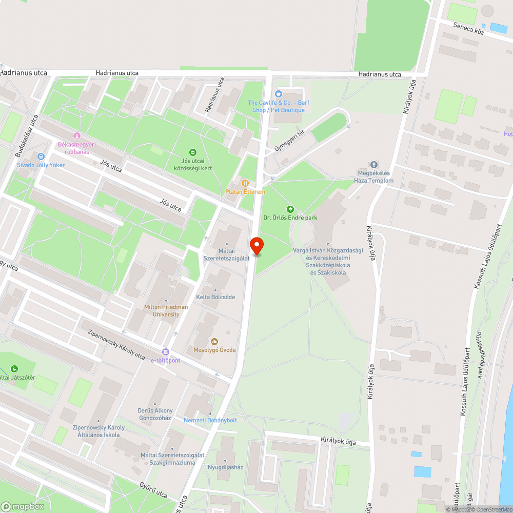 Levágott fű a járdán plusz gaz bejelentés helye