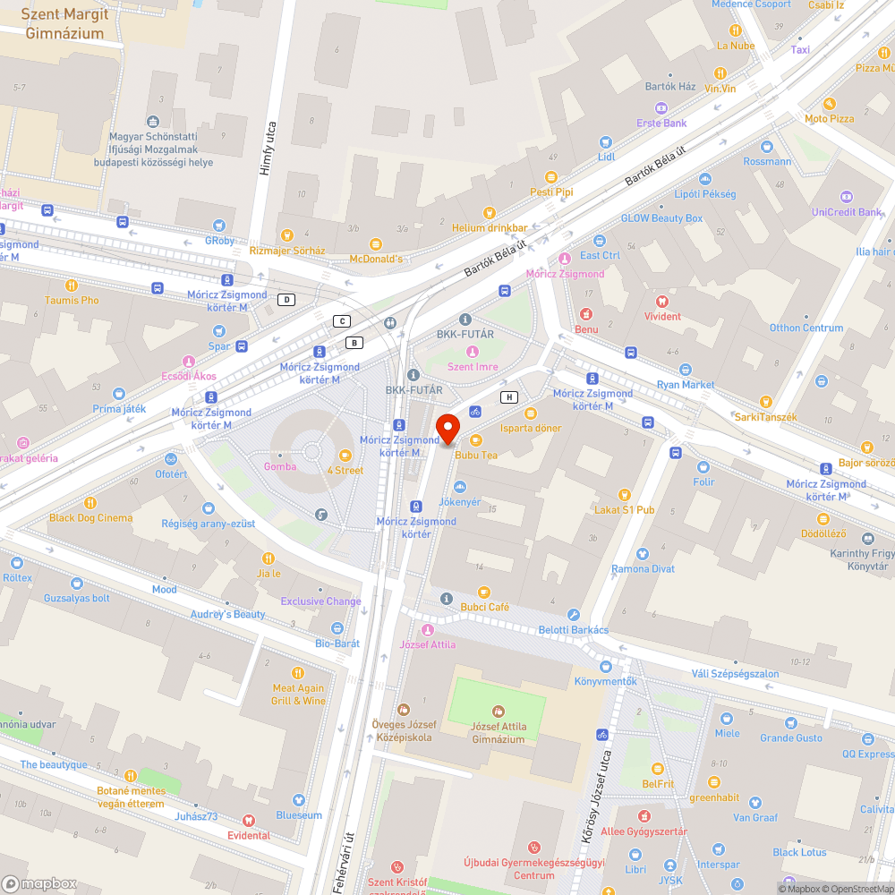 Leszakadt nagyobb faág a járdán bejelentés helye