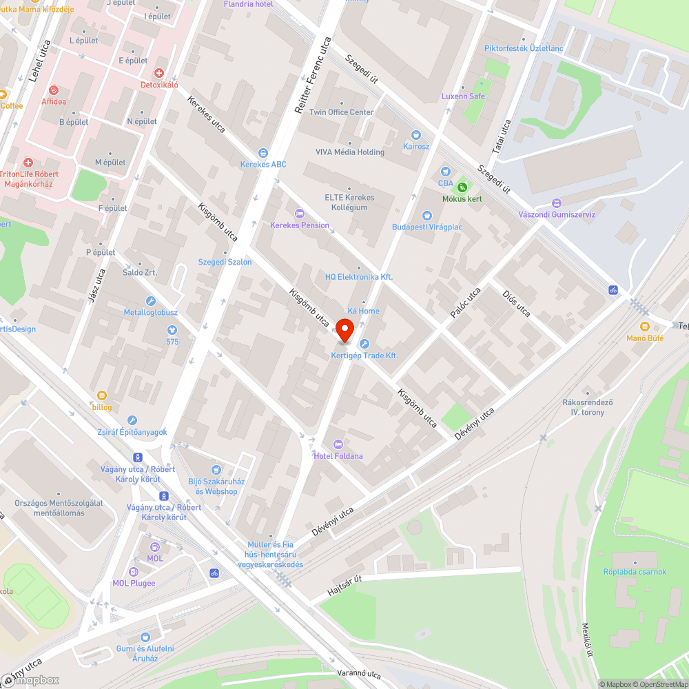 Levágott faágak a járdán bejelentés helye