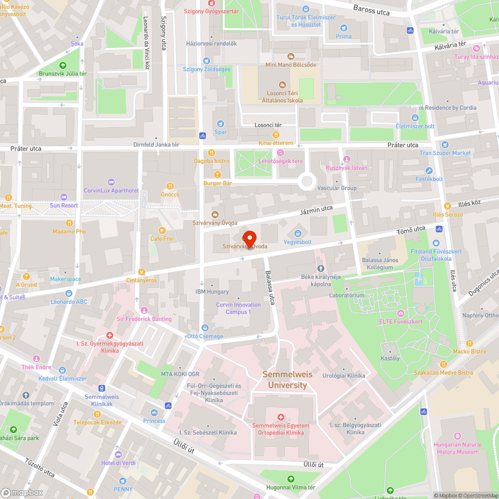 Üres ágyás, hiányzó fa bejelentés helye