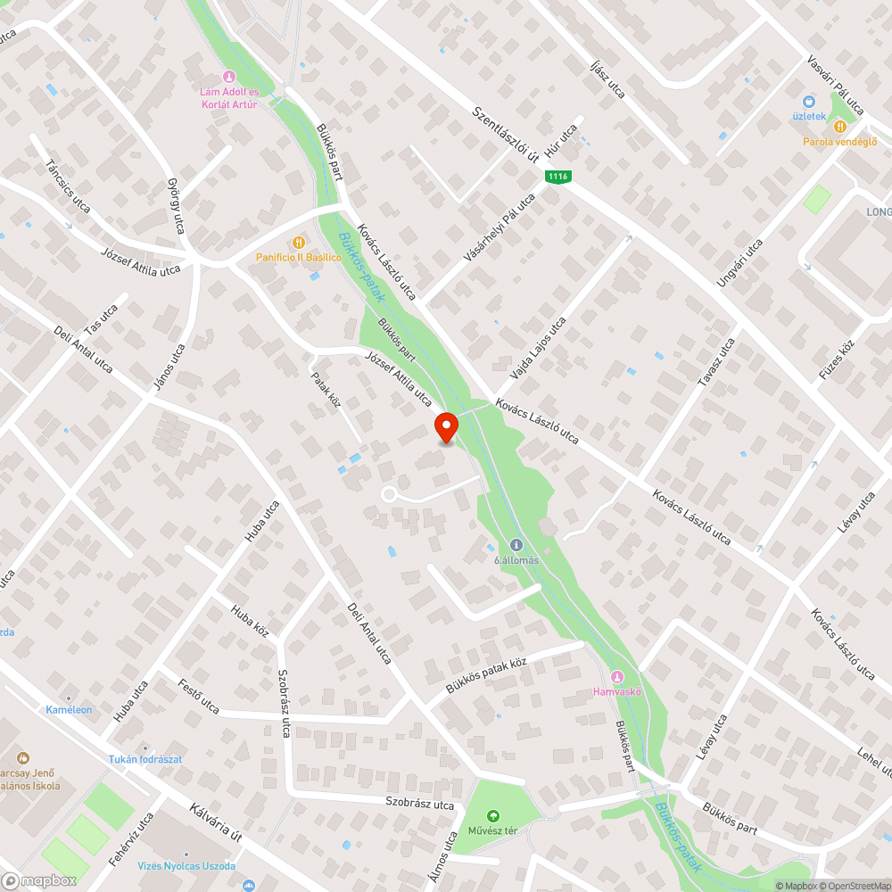 "Profi" faírtók megcsonkították a Bükkös part legszebb, legnagyobb fáját bejelentés helye