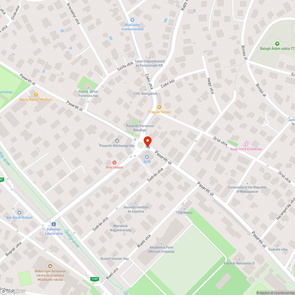 Lekopott zebra - Pasaréti tér bejelentés helye