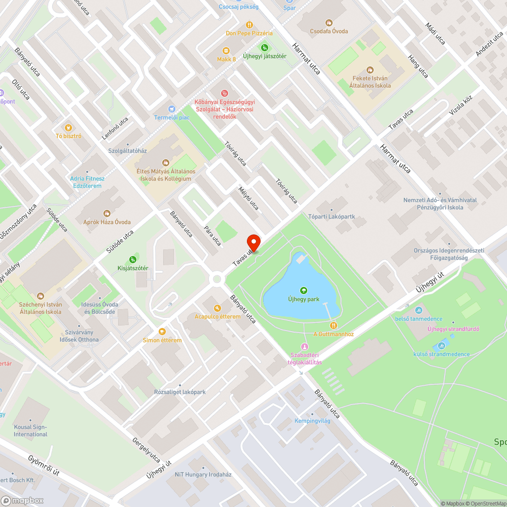 Kiszáradt fa a Mély-tónál bejelentés helye