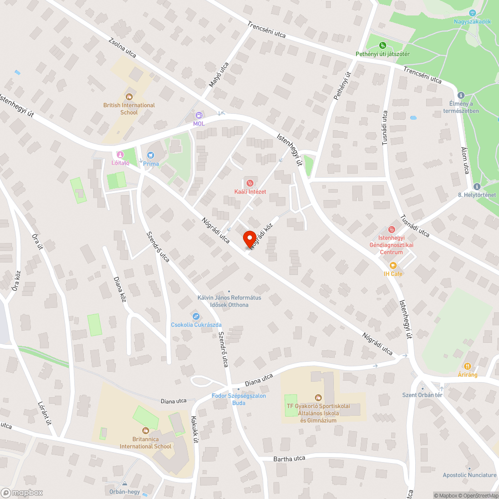 Kiömlő szemetes és felhalmozott zöld hulladék bejelentés helye