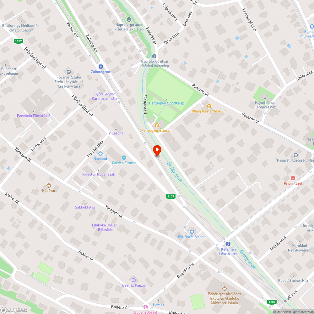 Útmenti zöldfelület rendezetlen állapota bejelentés helye