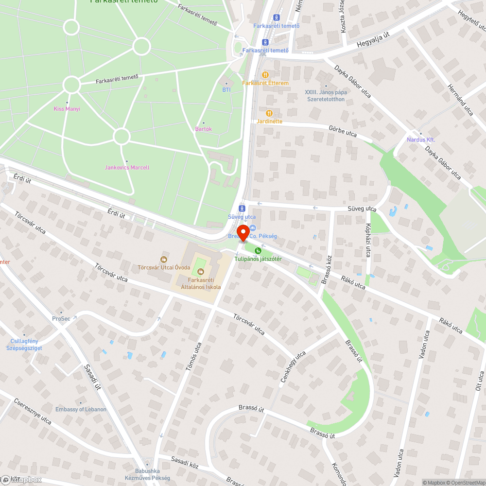 Lakó-pihenő P+R megszüntetése bejelentés helye