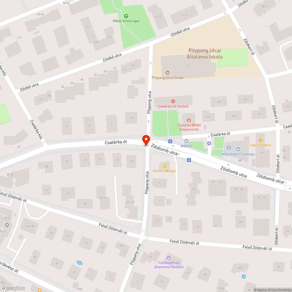 Takarítás hiánya a Pitypang–Csatárka sarkon bejelentés helye