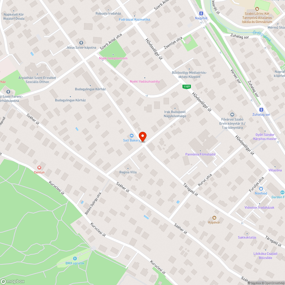 Döglött patkány a Bölöni-Tárogató sarkán bejelentés helye