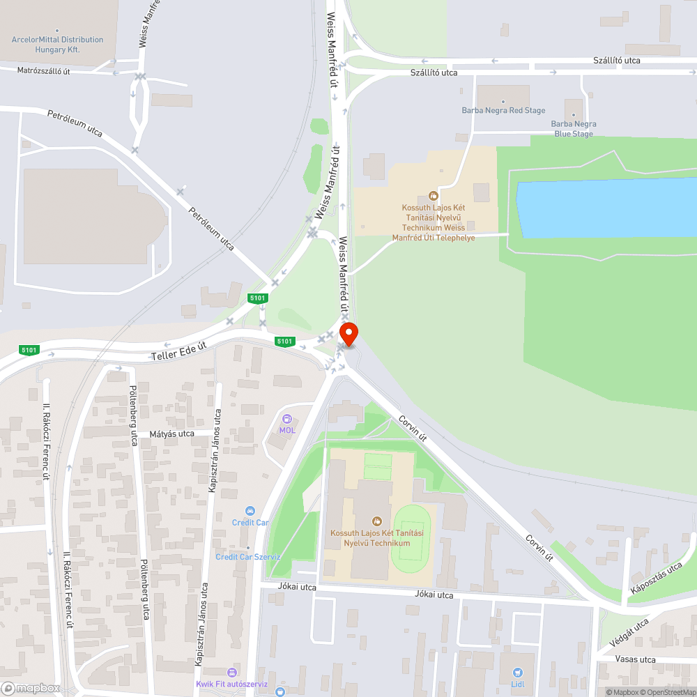 Benőtt bokrok/fák, elgazosodott járda bejelentés helye