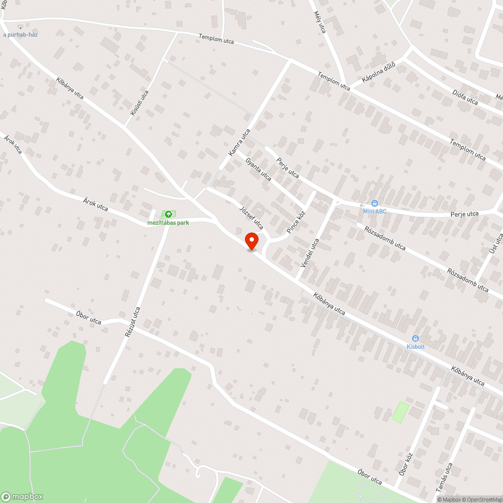 Félig kidőlt fa + ágtöredékek bejelentés helye