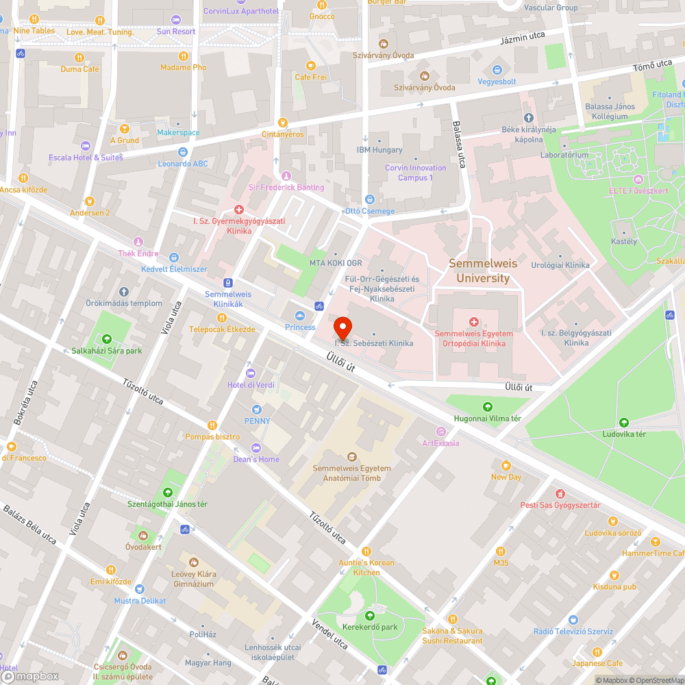 Rengeteg összegyűlt szemét a SOTE épület előtt bejelentés helye