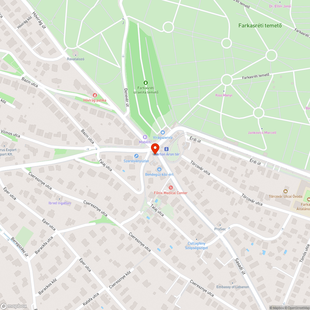 Útburkolati jel hiányosság  Törökbálinti út –Hóvirág út kereszteződés bejelentés helye