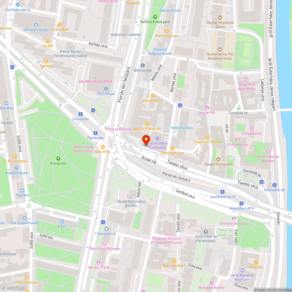 Patkány a Flórián téri OTP-nél bejelentés helye