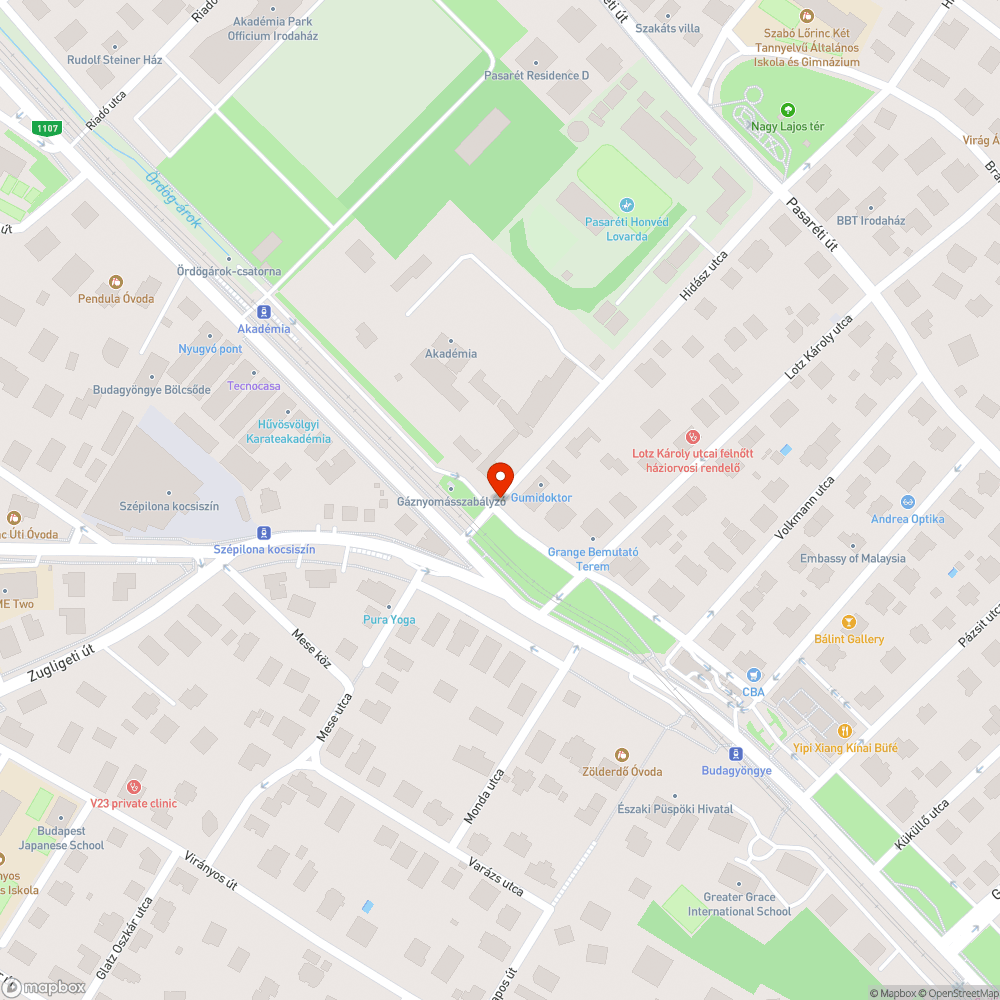 Használt fecskendô az utcán bejelentés helye