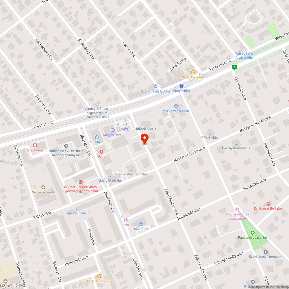 Kiszáradt fa bejelentés helye