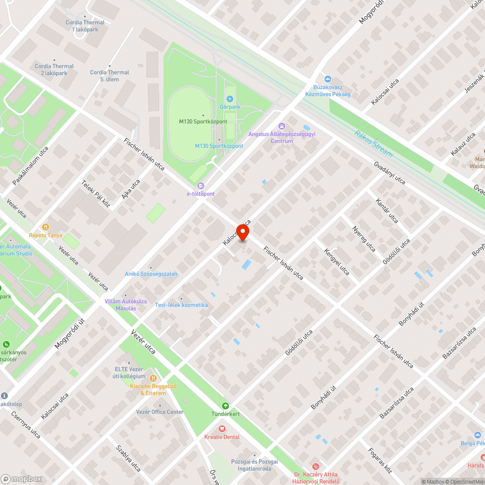 Szemetes közterület frekventált helyen bejelentés helye