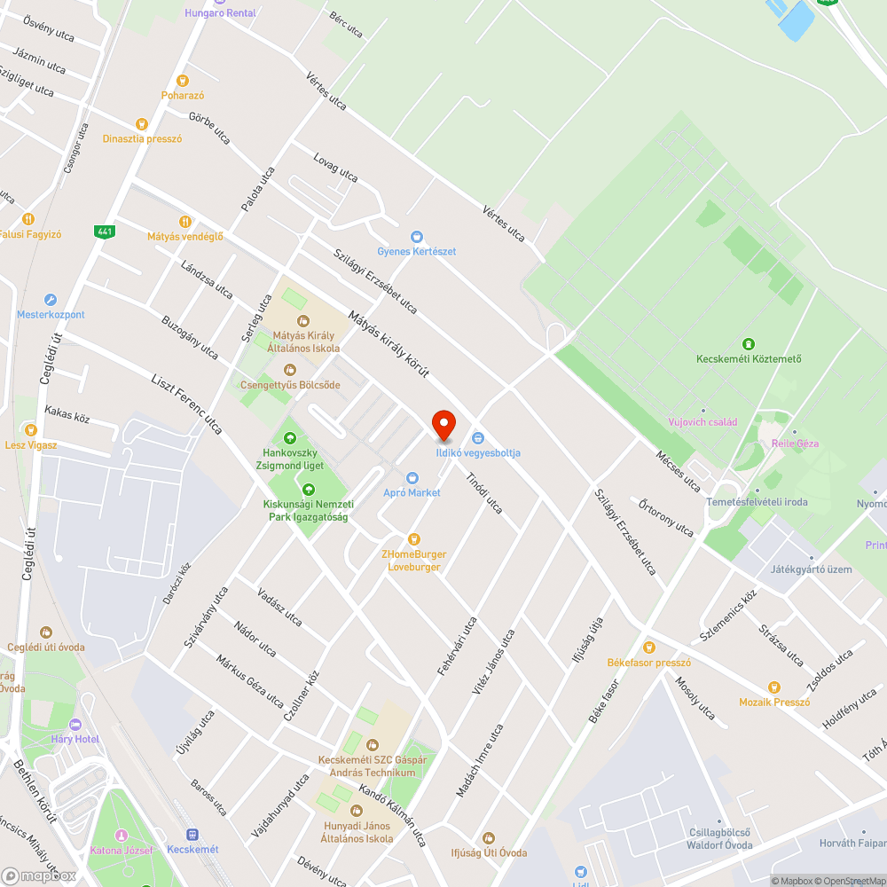 Sérült kutyaürülék-tároló a hunyadivárosi Univer Áruháznál bejelentés helye