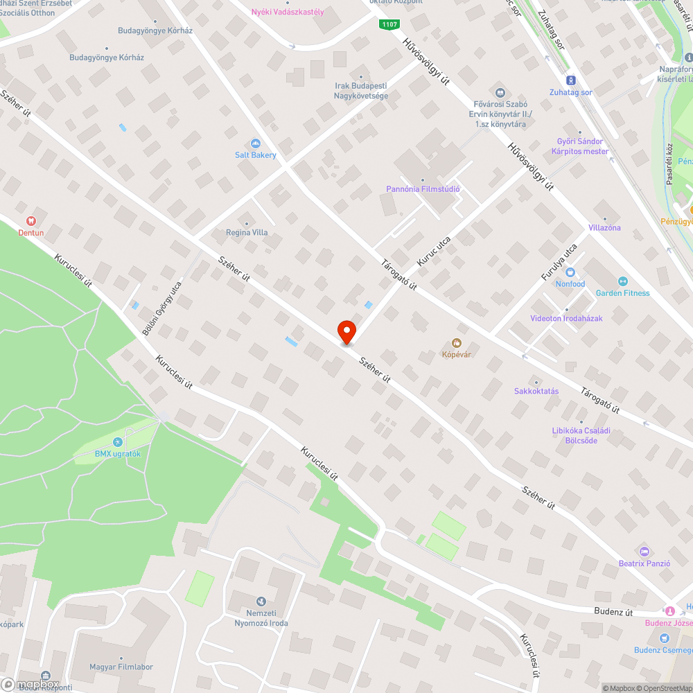 Tükör hiányában nagyon nehezen belátható kereszteződés bejelentés helye