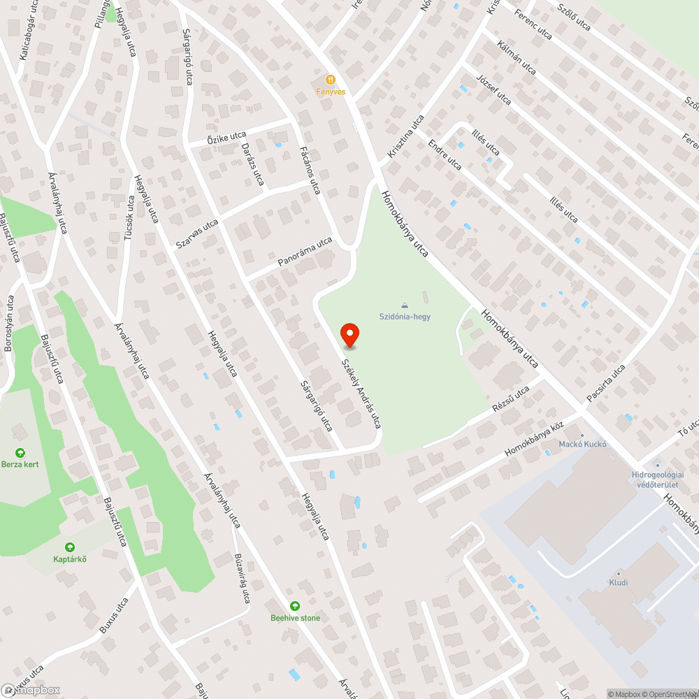 Székely András út útburkolat bejelentés helye