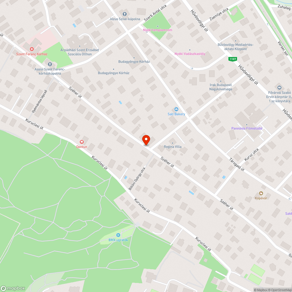 Kutyaürülékkel szennyezett járda bejelentés helye