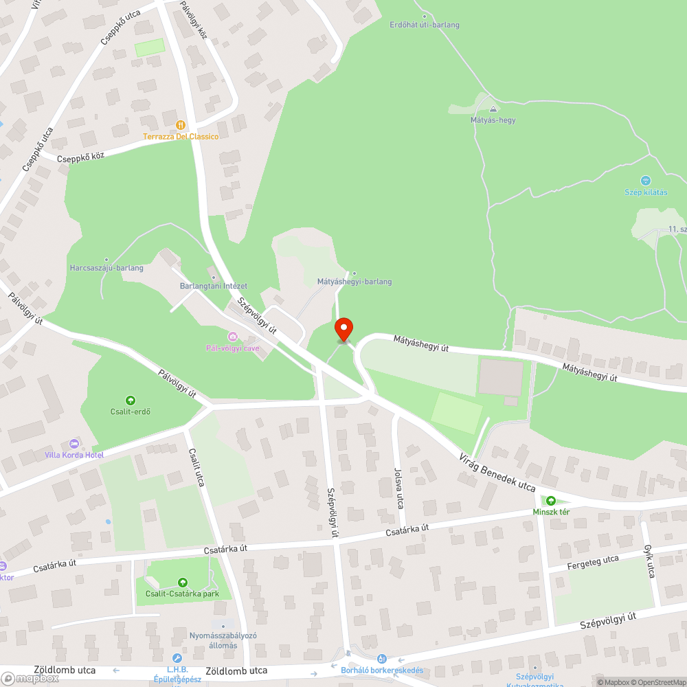 Nagyon rossz minőségű aszfalt bejelentés helye