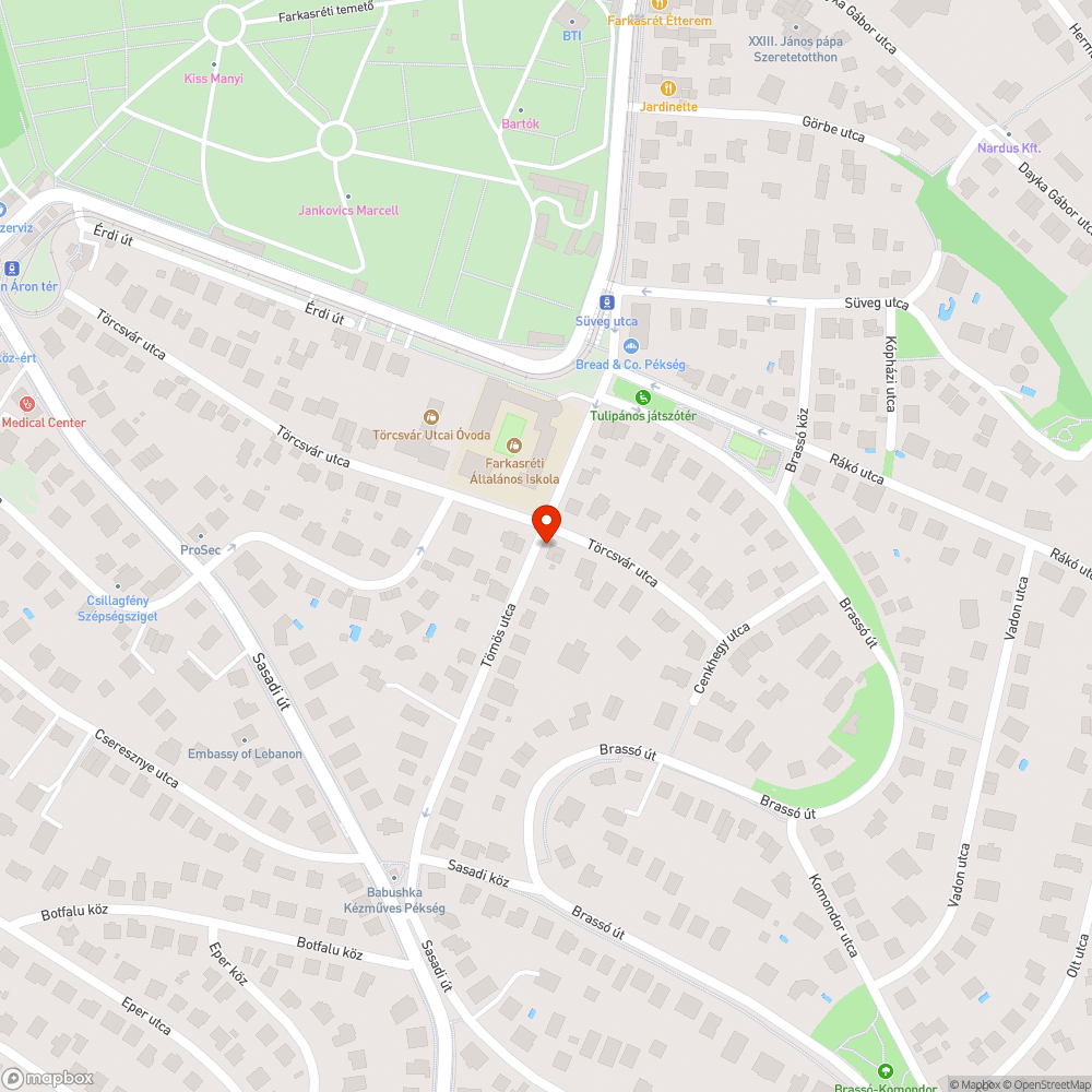 Szivárgás az aszfalton bejelentés helye